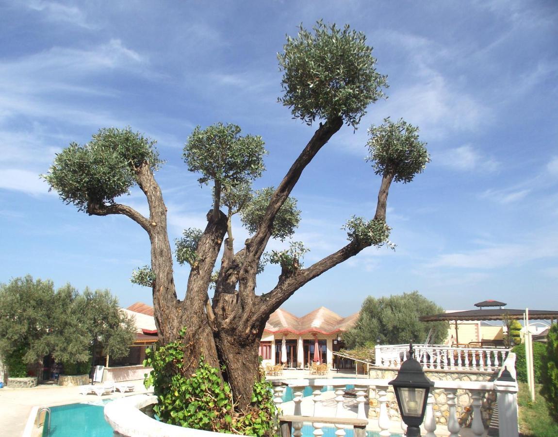 Alize Resort Hotel Yenifoca Εξωτερικό φωτογραφία